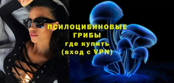 круглые Алексеевка