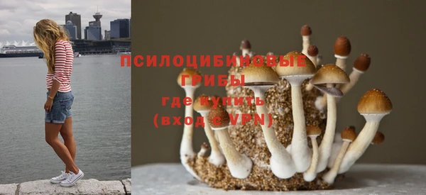 spice Алзамай
