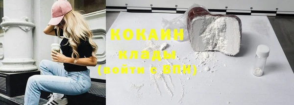 кокс Алексин